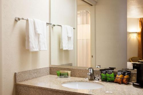 芒廷霍姆高山家园旅馆 的一间带水槽和镜子的浴室