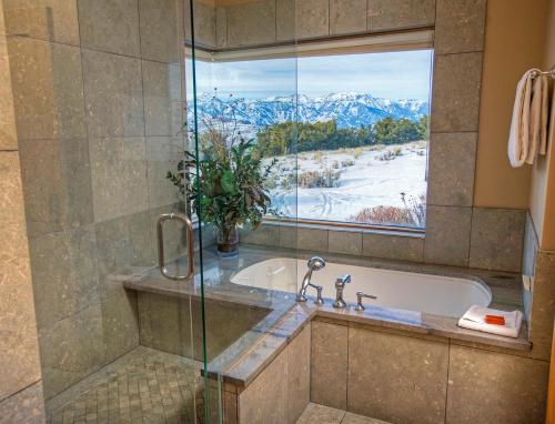 杰克逊斯普林克里克牧场酒店的带浴缸的浴室和美景窗户。