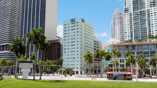 迈阿密迈阿密YVE酒店的一座有高楼城市的公共汽车