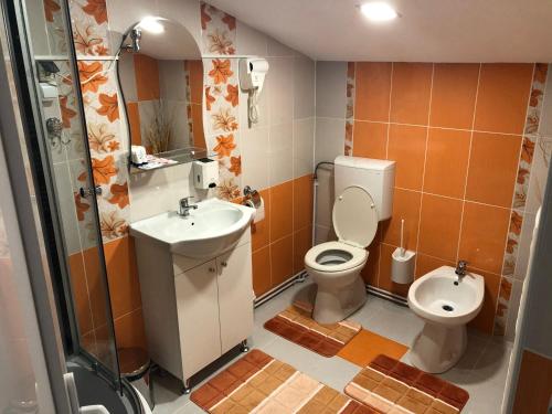 锡吉什瓦拉Toni Apartment的一间带卫生间和水槽的小浴室
