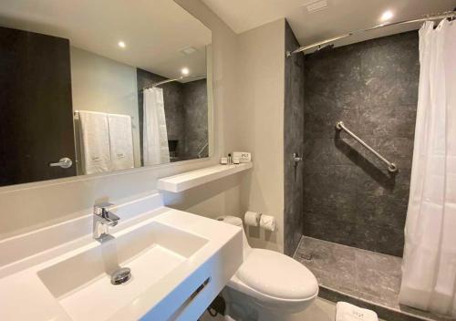 Hotel MX cuautitlan的一间带水槽、卫生间和淋浴的浴室