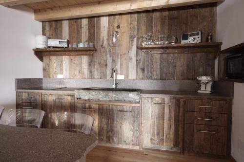 阿莱盖Tabià Alleghe vista lago, monte Civetta Dolomiti的厨房设有水槽和木墙