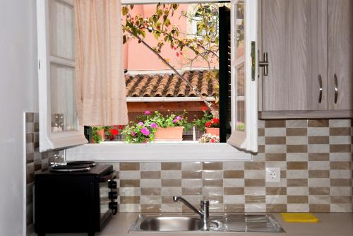 卡沃斯Nefeli Mare的带水槽的厨房和鲜花窗户