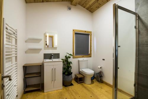 Saint FlorenceFern Lodge - 2 Bedroom Log Cabin - Saint Florence - Tenby的一间带卫生间、水槽和镜子的浴室