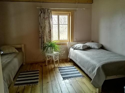 CesvaineDzirnavkalns的一间卧室设有两张床和窗户。
