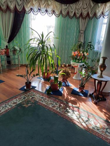 奇姆肯特Hotel ВаYan的一间铺有木地板且布满盆栽植物的房间