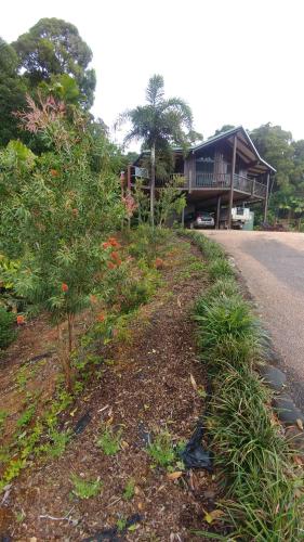 Cow BayDaintree Holiday Homes - Yurara的坐在路边的房子