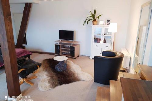 伯根Studiowohnung in Bergen/Bleckmar的带沙发和电视的客厅以及地毯。