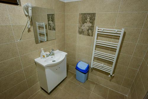 皮特什蒂Casa Domneasca Riana的一间带水槽和镜子的浴室