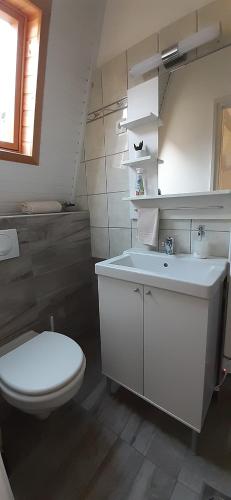 凯斯特海伊Mona apartman的白色的浴室设有卫生间和水槽。