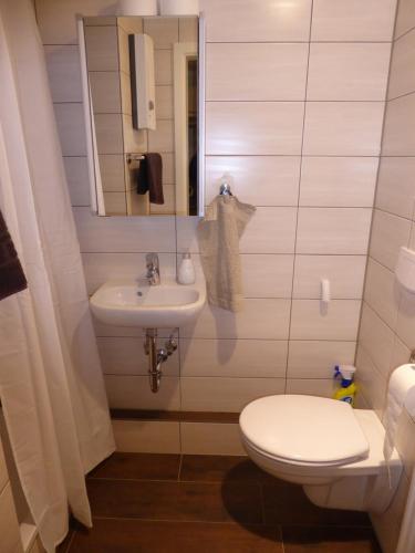 波鸿Ferienwohnung Bochum-Eppendorf的一间带卫生间和水槽的浴室