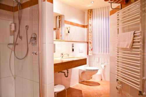 维斯贝克Visbek Hotel Stüve的浴室配有卫生间、盥洗盆和淋浴。
