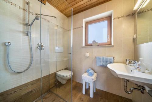 阿维兰奥Ferienwohnung Mittager Edelweiss的带淋浴、卫生间和盥洗盆的浴室