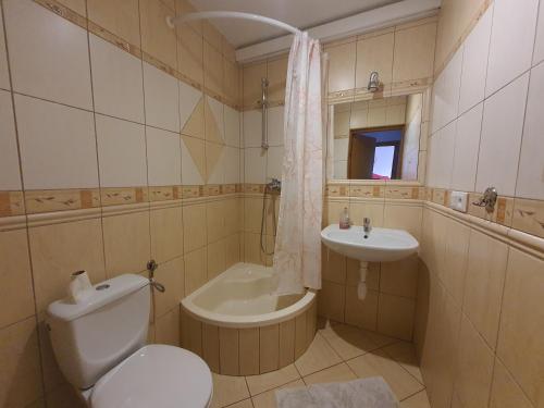 KiedrowiceAgroturystyka Dobri mól的一间带卫生间和水槽的浴室