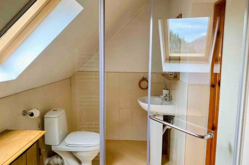 贝利伊斯库尔Villa Aquila的一间带卫生间和水槽的小浴室