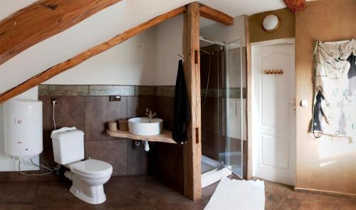 Skolity多姆乌格祖度假屋的浴室配有白色卫生间和淋浴。