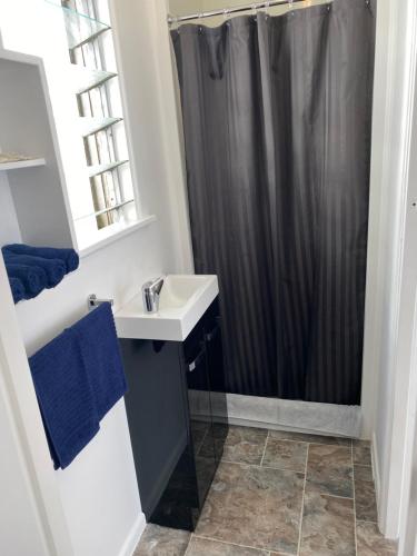 陶波Windsor Motel的一间带水槽和淋浴的浴室
