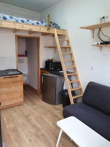昂热Angers Green Lodge - Cosy Studio的一间带高架床的客厅和一间厨房