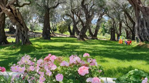 阿普索斯雅尼斯孚酒店的草丛中树木和粉红色花卉的公园