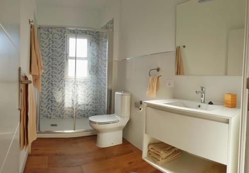 巴耶格兰雷伊La Pardela的浴室配有卫生间、盥洗盆和淋浴。