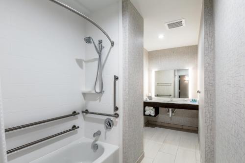 泽西市泽西城霍博肯智选假日酒店的带淋浴和盥洗盆的浴室