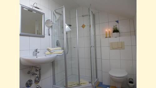 阿布斯贝格Feriendomizil Carmen Hofmann的带淋浴、盥洗盆和卫生间的浴室