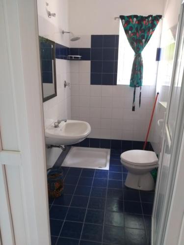 达累斯萨拉姆Cefa Hostel的蓝色瓷砖浴室设有卫生间和水槽