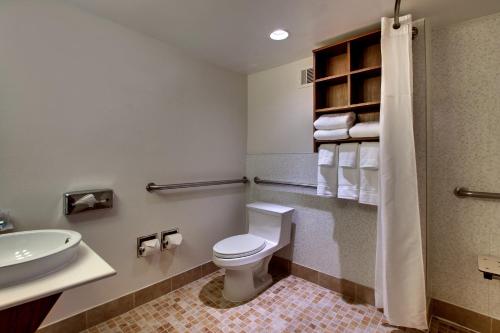 银泉华盛顿特区银泉智选假日酒店的一间带卫生间和水槽的浴室