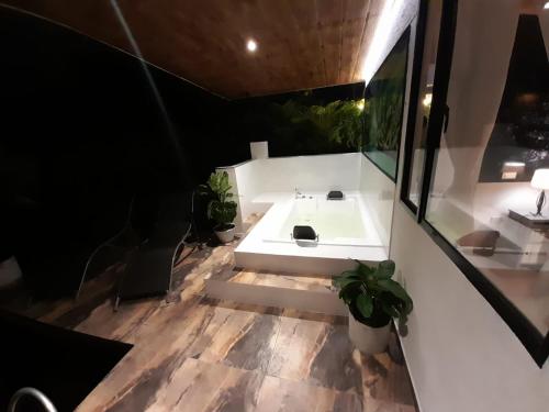 佩雷拉Cabaña miramar的浴室设有白色水槽和一些植物