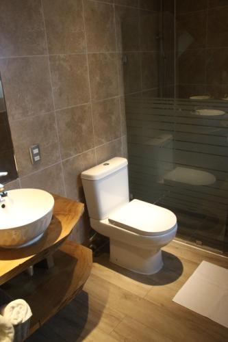 比亚里卡Hotel Costanera的浴室配有卫生间、盥洗盆和淋浴。
