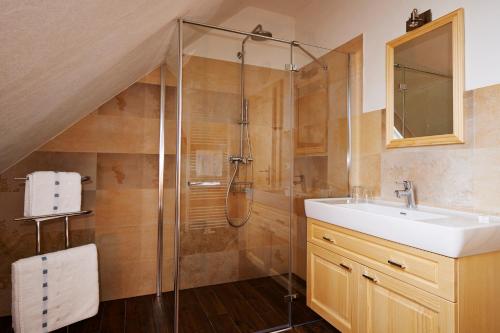 Burgau福鲁克斯佩科林斯特旅馆的一间带水槽和淋浴的浴室
