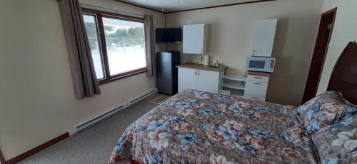 苏圣玛丽Super Nights Inn的一间卧室配有一张床、一间厨房和一个窗口