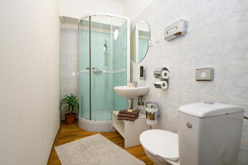 小莫拉夫卡Penzion Na Rychtě的一间带卫生间、水槽和镜子的浴室
