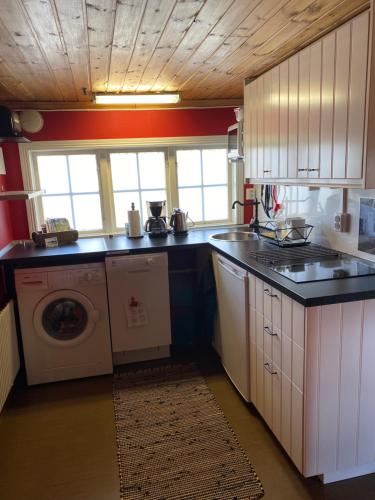 法伦Olsbacka cottage的厨房配有水槽和洗衣机