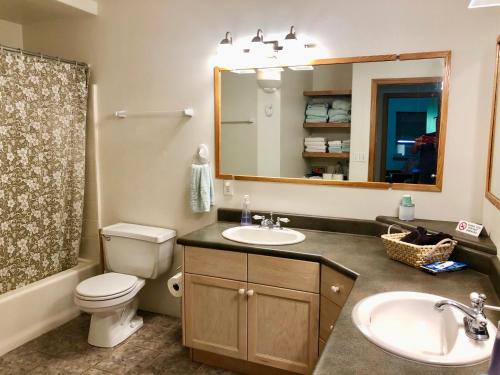 凯阿奥Ala Kai Bed and Breakfast的一间带卫生间、水槽和镜子的浴室