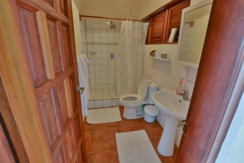 CrochuTwo Bays Beach Villa, Apartment, and Studios的一间带卫生间和水槽的浴室