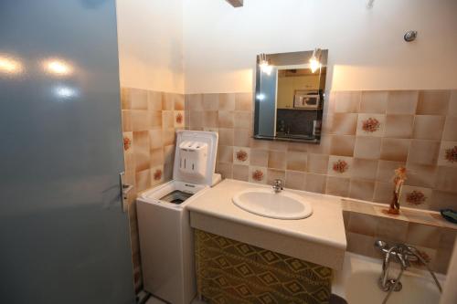 滨海阿热莱斯Agréable T2 climatisé的一间带水槽和镜子的浴室