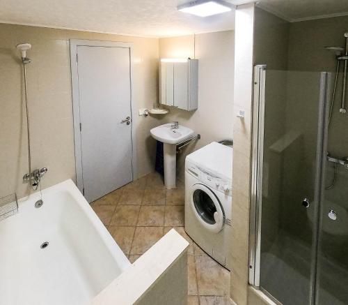 苏昂博Gerry&Lotti Apartment的一间带洗衣机和水槽的浴室
