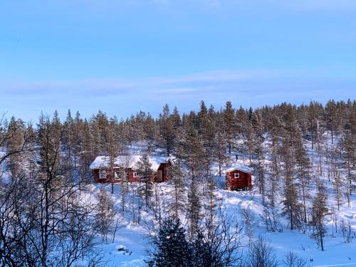 萨利色尔卡Saariselällä, sielukas hirsimökki - Unique cottage的两座小屋,位于一片树木茂密的雪覆盖森林中