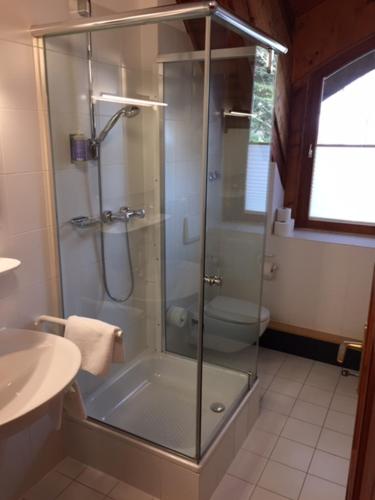 于伯林根Naturata Hotel的带淋浴、卫生间和盥洗盆的浴室