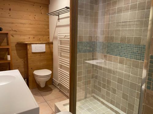 莱索尔Le REFUGE véritable cocon avec Cheminée的浴室配有卫生间、淋浴和盥洗盆。