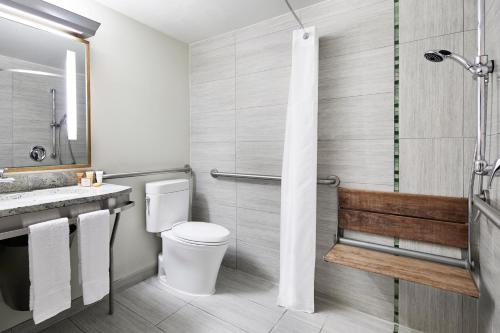 纽约The Jewel Hotel, New York的一间带卫生间和水槽的浴室