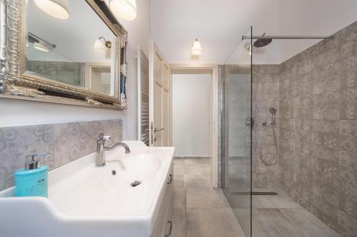 罗维尼Villa Aria Istria的一间带水槽和淋浴的浴室
