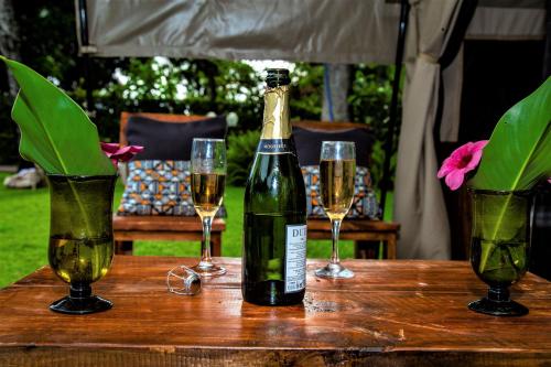 姆托瓦姆布Africa Safari Camping Mto wa Mbu的一瓶香槟和一张桌子上的两杯酒