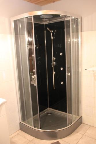 Liesville-sur-Douvechevrerie de la huberdiere的浴室里设有玻璃门淋浴