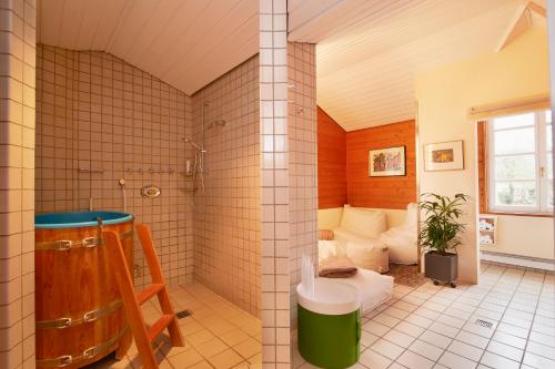 DipperzLindenGut Biohotel的带淋浴和卫生间的浴室。