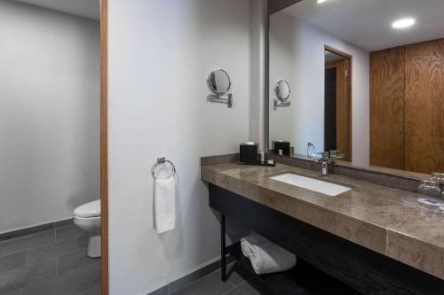 圣路易斯波托西TRYP by Wyndham San Luis Potosi Hotel & Suites的一间带水槽、镜子和卫生间的浴室