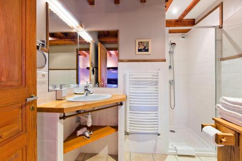 Saint-Jacques-dʼAmbur乌洛特旅馆的一间带水槽和淋浴的浴室