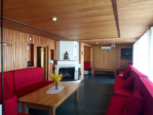 SepeneKurzemes pērle的客厅配有红色家具和壁炉