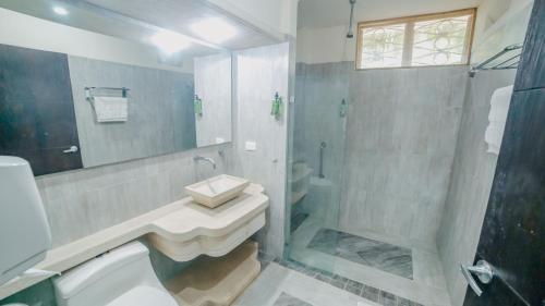 圣菲德安蒂奥基亚Hotel La Iguana de Santa fe De Antioquia的一间带水槽和淋浴的浴室